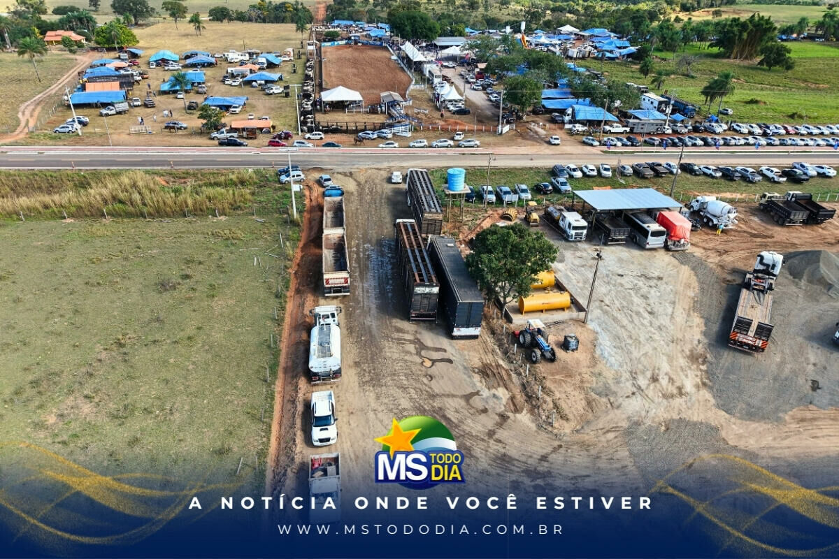Imagem da Galeria